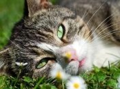 Самые умные решения принимают лежа