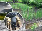 Ливень затопил огороды в Хмельницкой области