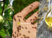 Жизнь в СССР