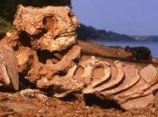 Ученые обнаружили останки ранее неизвестного вида рептилий