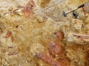 Останки древнейших животных обнаружены в Аргентине