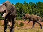 Марафонцы: тираннозавры занимались "спортивной ходьбой"