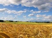 Выручка от экспорта аграрной продукции в ЕС выросла на 15%