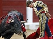 В традиционных забегах с быками в Испании погибли 7 человек