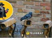 В lifecell предлагают личного "Шпиониро-голубиро": что входит в новую услугу