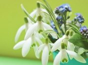 Приметы и обряды на 12 марта – День Прокопа-Перезимника