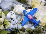 Международные эксперты обследуют место падения рейса МН17