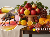 Комахи більше не зіпсують фрукти