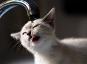 Местами стоит ждать 40-градусной жары