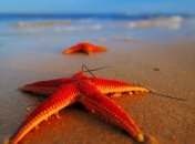 Где лучше всего отдохнуть весной?