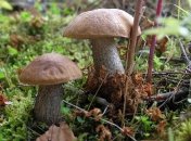 Август начнется с резкого похолодания: синоптики дали прогноз на последний месяц лета