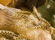 Производство хлеба в Украине сократилось на 7,5%