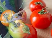 Полезные лайфхаки для огородников