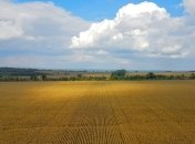 Всемирный банк полагает, что открытие рынка земли увеличит ВВП Украины на 2%