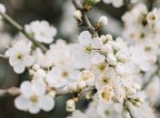 Какой праздник 9 апреля: народные приметы и запреты