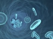 Напечатанные сосуды: открыт новый материал для 3D-печати