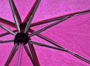 Прогноз погоды в Украине на 14 апреля: ожидаются дожди