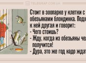 Заряди свой день позитивом: забавные анекдоты 18 июля 