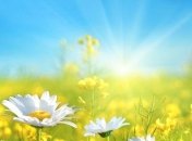 Прогноз погоды в Украине 10 августа: ожидается новая волна жары 