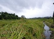 Землетрясение на острове Хонсю: 30 тысяч  домов остались без света
