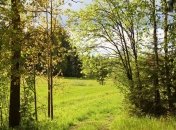 Прогноз погоды в Украине на 18 июня: солнечно в половине областей