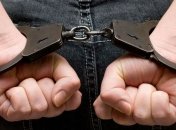 Россиянин хотел вывезти из Украины 580 кг мяса