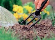 Посевной календарь на май 2022: что обязательно нужно посадить в начале месяца