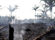 G7 ищет варианты тушения пожаров в Амазонии