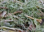 Мороз і сонце: прогноз погоди на 24 березня