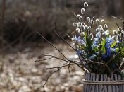 Последнее Новолуние зимы-2020: каким будет начало весны