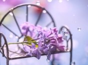 Дождь на бульваре Перова