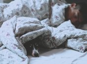 Зимой ищут теплые местечки как люди, так и животные