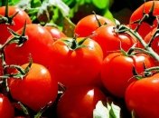 Эксперты назвали продукты, которые теряют пользу при термической обработке