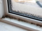 Взимку на вікнах часто з’являється цвіль