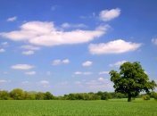 17 июня. Приметы дня