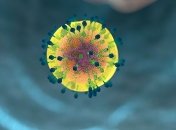 В Украине разгулялся "свинной" грипп: что это такое и как себя уберечь