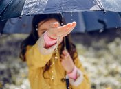 1 июня с нетерпением ожидали дождя