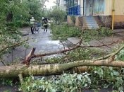 Луганская область пострадала от непогоды