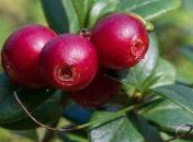 5 сентября - праздник, что категорически запрещено делать, главные приметы