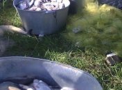 В Кировоградской области полиция поймала браконьеров