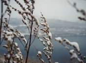 Штормовой ветер и дожди подпортят погоду в начале новой недели: прогноз синоптиков