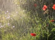 В Украине с начала недели спадет температуры и пойдут дожди