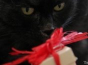 Подарки от любимого. Что они значат?