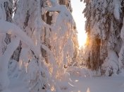 Какой праздник 31 января: народные приметы и запреты