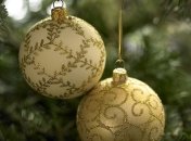 Главную новогоднюю елку Чехии уже ввезли в Прагу