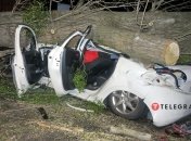 Тополь смял автомобиль