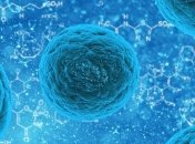 "Включили": ученым удалось разработать клетки, производящие инсулин