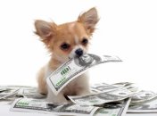 Названо знаки Зодіаку, які розбагатіють у 2023 році