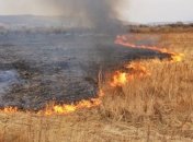 Спасатели предупреждают о чрезвычайной пожарной опасности в Украине