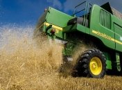 В Украине в этом году уже намолотили более 20 млн тонн зерновых и зернобобовых 